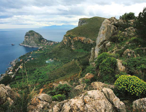 Il meraviglioso mondo di MONTE CATALFANO