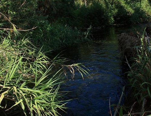 Associazione Natura e Cultura