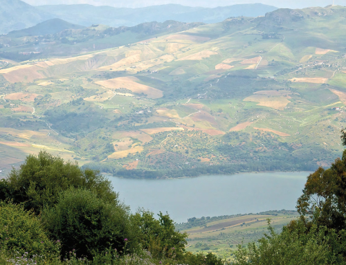 La Riserva Naturale Orientata di Pizzo Cane, Pizzo Trigna e Grotta Mazzamuto